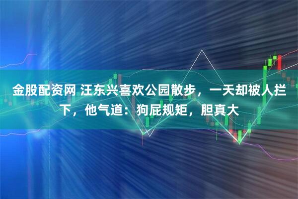 金股配资网 汪东兴喜欢公园散步，一天却被人拦下，他气道：狗屁规矩，胆真大